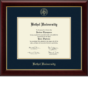 Gold Embossed Diploma Frame in Gallery, Navy