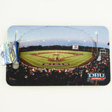 DBU Baseball Cushion
