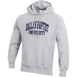 Champion Reverse Weave Hood |  Silver Grey